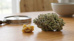 Une fleur de CBD et un morceau de cire posés sur une table en bois à côté d'une loupe.